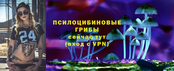 гидра Краснотурьинск