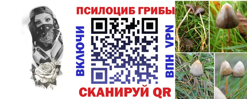 Псилоцибиновые грибы прущие грибы  Купить закладки  Вихоревка 